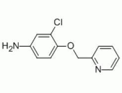 cas��524955-09-7
